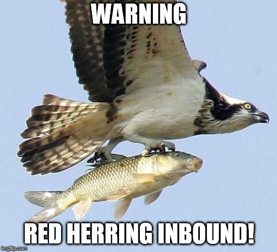 eagle carrying fish | WARNING; RED HERRING INBOUND! | image tagged in eagle carrying fish | made w/ Imgflip meme maker