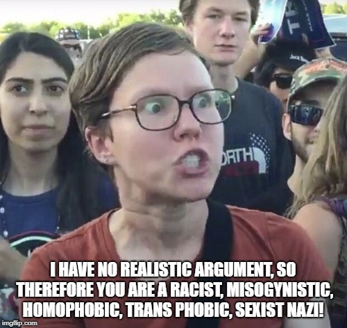Triggered feminist | I HAVE NO REALISTIC ARGUMENT, SO THEREFORE YOU ARE A RACIST, MISOGYNISTIC, HOMOPHOBIC, TRANS PHOBIC, SEXIST NAZI! | image tagged in triggered feminist | made w/ Imgflip meme maker