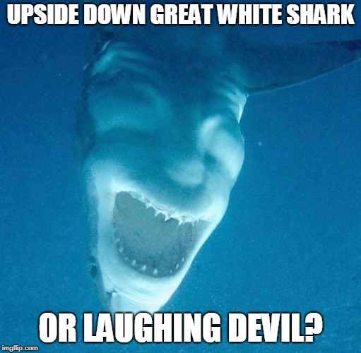 What Evil Lurks In The Ocean? | image tagged in great white shark,devil | made w/ Imgflip meme maker