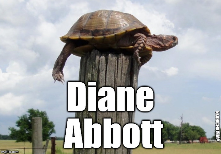 Diane Abbott - Turtle on a post | Diane Abbott; #WEARECORBYN | image tagged in corbyn eww,wearecorbyn,labourisdead,communist socialist,momentum students,labour conference 2018 | made w/ Imgflip meme maker
