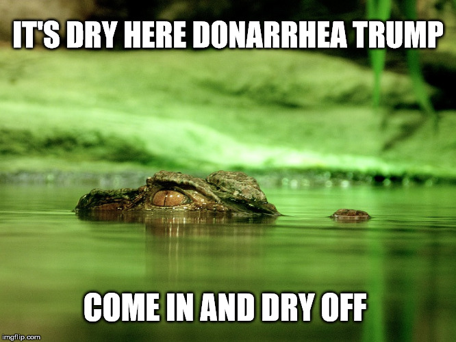 IT'S DRY HERE DONARRHEA TRUMP COME IN AND DRY OFF | made w/ Imgflip meme maker