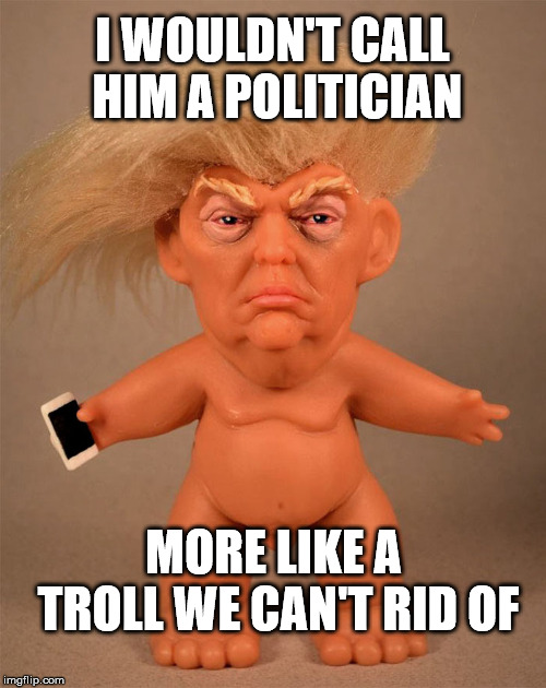I WOULDN'T CALL HIM A POLITICIAN MORE LIKE A TROLL WE CAN'T RID OF | made w/ Imgflip meme maker