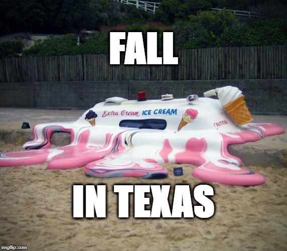 Texas | FALL; IN TEXAS | image tagged in it's true | made w/ Imgflip meme maker