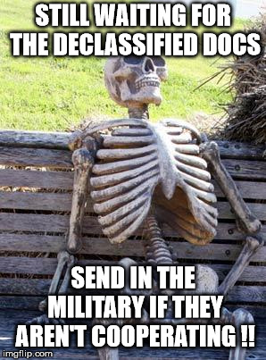Waiting Skeleton Meme |  STILL WAITING FOR THE DECLASSIFIED DOCS; SEND IN THE MILITARY IF THEY AREN'T COOPERATING !! | image tagged in memes,waiting skeleton | made w/ Imgflip meme maker