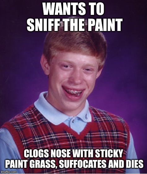 Bad Luck Brian Meme | WANTS TO SNIFF THE PAINT CLOGS NOSE WITH STICKY PAINT GRASS, SUFFOCATES AND DIES | image tagged in memes,bad luck brian | made w/ Imgflip meme maker