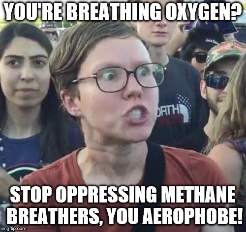 Triggered feminist | YOU'RE BREATHING OXYGEN? STOP OPPRESSING METHANE BREATHERS, YOU AEROPHOBE! | image tagged in triggered feminist | made w/ Imgflip meme maker