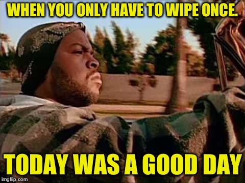 Today Was A Good Day Meme | WHEN YOU ONLY HAVE TO WIPE ONCE. TODAY WAS A GOOD DAY | image tagged in memes,today was a good day | made w/ Imgflip meme maker