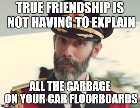 Half of it's theirs | TRUE FRIENDSHIP IS NOT HAVING TO EXPLAIN; ALL THE GARBAGE ON YOUR CAR FLOORBOARDS | image tagged in captain obvious | made w/ Imgflip meme maker