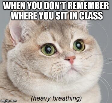 Heavy Breathing Cat Meme | WHEN YOU DON'T REMEMBER WHERE YOU SIT IN CLASS | image tagged in memes,heavy breathing cat | made w/ Imgflip meme maker