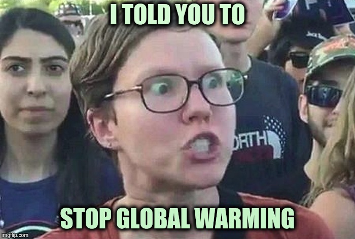 Triggered Liberal | I TOLD YOU TO STOP GLOBAL WARMING | image tagged in triggered liberal | made w/ Imgflip meme maker