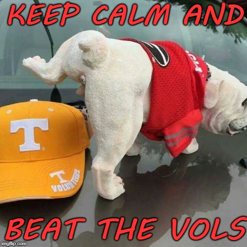 KEEP CALM AND; BEAT THE VOLS | image tagged in college football,georgia | made w/ Imgflip meme maker