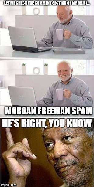 Spam em | LET ME CHECK THE COMMENT SECTION OF MY MEME... MORGAN FREEMAN SPAM | image tagged in memes,he's right you know,morgan freeman,spam,hide the pain harold | made w/ Imgflip meme maker