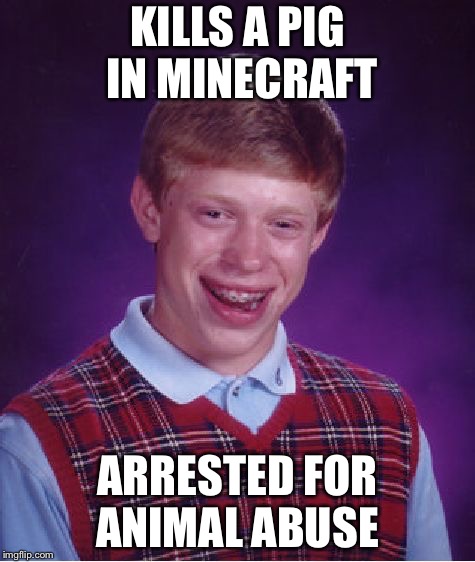 Bad Luck Brian | KILLS A PIG IN MINECRAFT; ARRESTED FOR ANIMAL ABUSE | image tagged in memes,bad luck brian | made w/ Imgflip meme maker