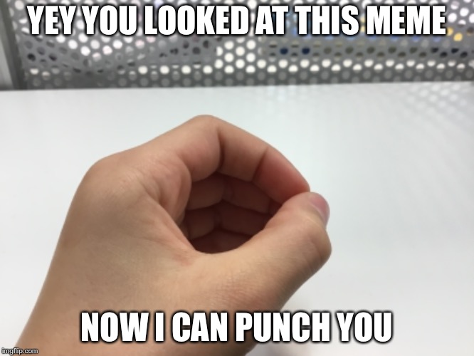 YEY YOU LOOKED AT THIS MEME; NOW I CAN PUNCH YOU | image tagged in funny,memes | made w/ Imgflip meme maker