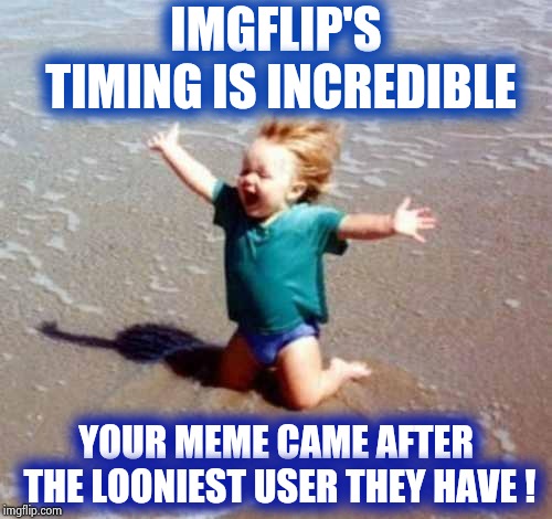 Celebration | IMGFLIP'S TIMING IS INCREDIBLE YOUR MEME CAME AFTER THE LOONIEST USER THEY HAVE ! | image tagged in celebration | made w/ Imgflip meme maker