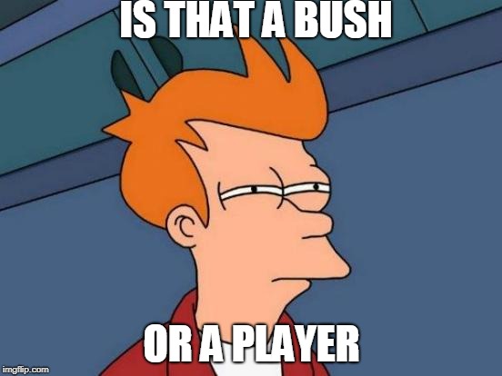 Futurama Fry | IS THAT A BUSH; OR A PLAYER | image tagged in memes,futurama fry | made w/ Imgflip meme maker