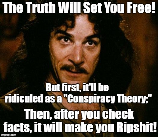 Truth Is A Conspiracy Theory For Now! | The Truth Will Set You Free! But first, it'll be ridiculed as a "Conspiracy Theory;"; Then, after you check facts, it will make you Ripshit! | image tagged in memes,inigo montoya,conspiracy theory,truth hurts | made w/ Imgflip meme maker