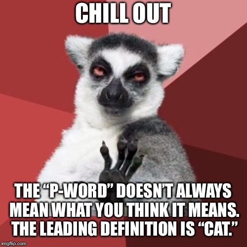 The P-Word is not necessarily a bad word | CHILL OUT; THE “P-WORD” DOESN’T ALWAYS MEAN WHAT YOU THINK IT MEANS. THE LEADING DEFINITION IS “CAT.” | image tagged in memes,chill out lemur,words,reaction,mean,cat | made w/ Imgflip meme maker