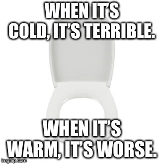 WHEN IT’S COLD, IT’S TERRIBLE. WHEN IT’S WARM, IT’S WORSE. | image tagged in toilet seat | made w/ Imgflip meme maker