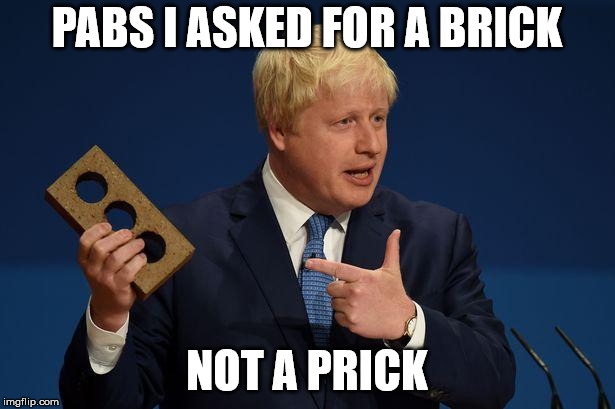 Boris brick | PABS I ASKED FOR A BRICK; NOT A PRICK | image tagged in boris brick | made w/ Imgflip meme maker