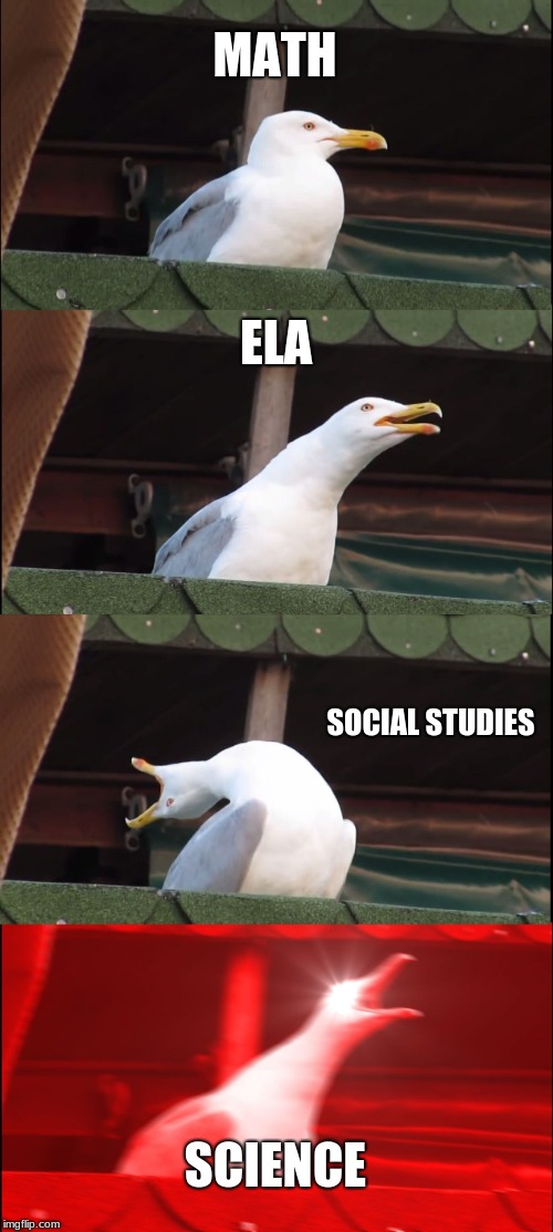 Inhaling Seagull Meme | MATH; ELA; SOCIAL STUDIES; SCIENCE | image tagged in memes,inhaling seagull | made w/ Imgflip meme maker