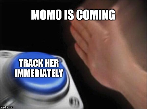 Blank Nut Button Meme | MOMO IS COMING; TRACK HER IMMEDIATELY | image tagged in memes,blank nut button | made w/ Imgflip meme maker