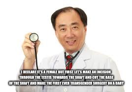 I DECLARE IT'S A FEMALE BUT FIRST LET'S MAKE AN INCISION THROUGH THE TESTIS TOWARDS THE SHAFT AND CUT THE BASE OF THE SHAFT AND MAKE THE FIR | made w/ Imgflip meme maker