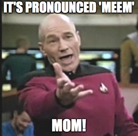 it's pronounced 'meem', mom | IT'S PRONOUNCED 'MEEM'; MOM! | image tagged in star trek the next generation,jean luc picard,meme | made w/ Imgflip meme maker