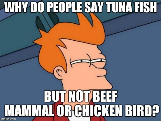 Futurama Fry Meme | WHY DO PEOPLE SAY TUNA FISH; BUT NOT BEEF MAMMAL OR CHICKEN BIRD? | image tagged in memes,futurama fry | made w/ Imgflip meme maker