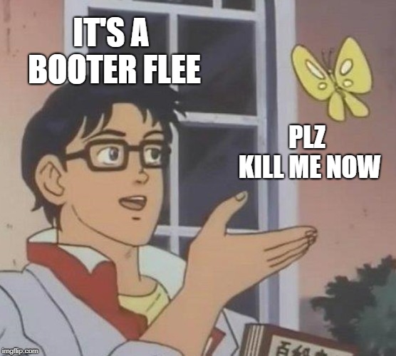 Is This A Pigeon Meme | IT'S A BOOTER FLEE; PLZ KILL ME NOW | image tagged in memes,is this a pigeon | made w/ Imgflip meme maker