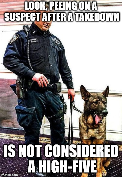 LOOK, PEEING ON A SUSPECT AFTER A TAKEDOWN; IS NOT CONSIDERED A HIGH-FIVE | image tagged in memes,cop and dog | made w/ Imgflip meme maker