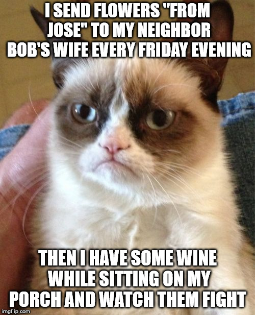 Grumpy Cat Meme | I SEND FLOWERS "FROM JOSE" TO MY NEIGHBOR BOB'S WIFE EVERY FRIDAY EVENING; THEN I HAVE SOME WINE WHILE SITTING ON MY PORCH AND WATCH THEM FIGHT | image tagged in memes,grumpy cat | made w/ Imgflip meme maker