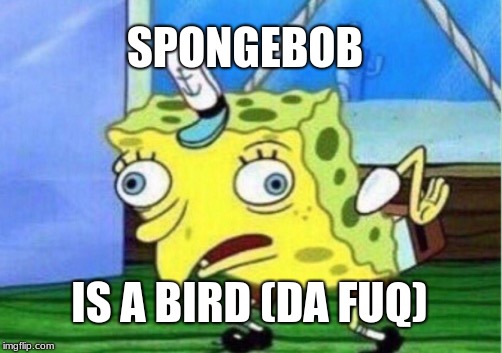 Mocking Spongebob Meme | SPONGEBOB; IS A BIRD (DA FUQ) | image tagged in memes,mocking spongebob | made w/ Imgflip meme maker