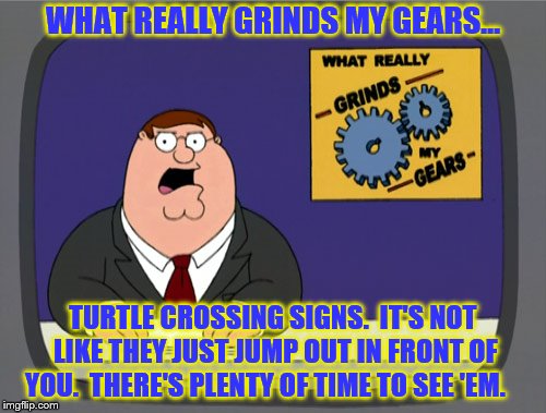 Turtle Crossing Sign Grind My Gears | WHAT REALLY GRINDS MY GEARS... TURTLE CROSSING SIGNS.  IT'S NOT LIKE THEY JUST JUMP OUT IN FRONT OF YOU.  THERE'S PLENTY OF TIME TO SEE 'EM. | image tagged in memes,peter griffin news,family guy,turtle crossing sign,get it off of my chest,signs | made w/ Imgflip meme maker