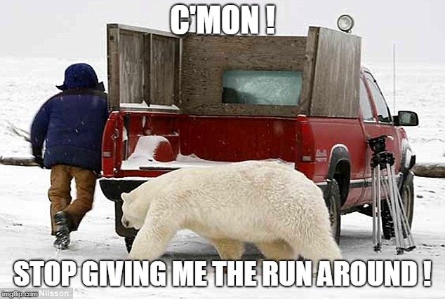 C'MON ! STOP GIVING ME THE RUN AROUND ! | made w/ Imgflip meme maker