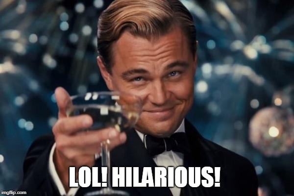 Leonardo Dicaprio Cheers Meme | LOL! HILARIOUS! | image tagged in memes,leonardo dicaprio cheers | made w/ Imgflip meme maker