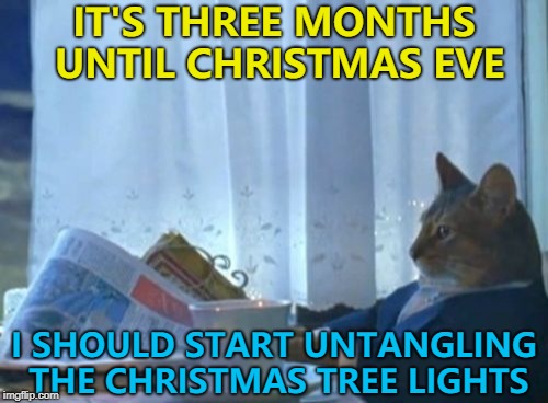 Every year you put them away neatly... And every year they come out a mess... :) | IT'S THREE MONTHS UNTIL CHRISTMAS EVE; I SHOULD START UNTANGLING THE CHRISTMAS TREE LIGHTS | image tagged in memes,i should buy a boat cat,christmas,christmas tree lights | made w/ Imgflip meme maker
