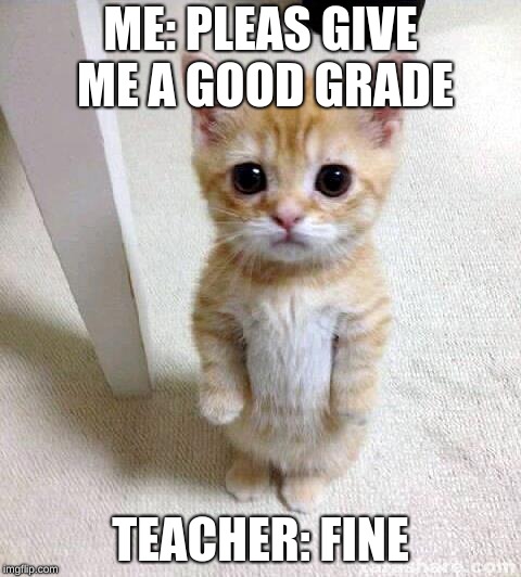 Cute Cat | ME: PLEAS GIVE ME A GOOD GRADE; TEACHER: FINE | image tagged in memes,cute cat | made w/ Imgflip meme maker