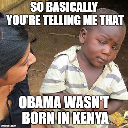 Third World Skeptical Kid | SO BASICALLY YOU'RE TELLING ME THAT; OBAMA WASN'T BORN IN KENYA | image tagged in memes,third world skeptical kid | made w/ Imgflip meme maker