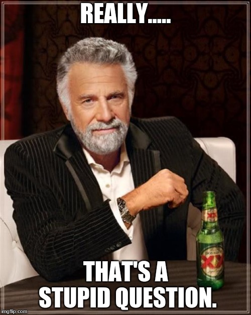 The Most Interesting Man In The World Meme | REALLY..... THAT'S A STUPID QUESTION. | image tagged in memes,the most interesting man in the world | made w/ Imgflip meme maker