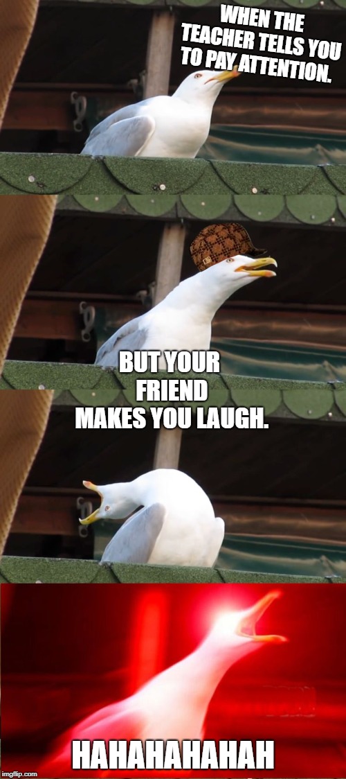 seagull inhales | WHEN THE TEACHER TELLS YOU TO PAY ATTENTION. BUT YOUR FRIEND MAKES YOU LAUGH. HAHAHAHAHAH | image tagged in seagull inhales,scumbag | made w/ Imgflip meme maker
