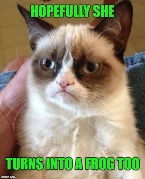 Grumpy Cat Meme | HOPEFULLY SHE TURNS INTO A FROG TOO | image tagged in memes,grumpy cat | made w/ Imgflip meme maker