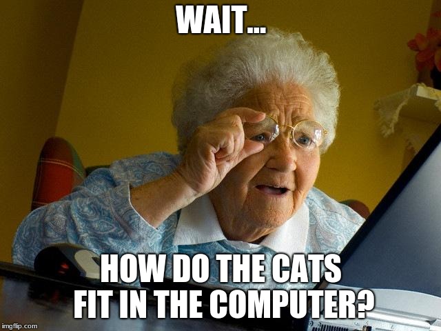 Grandma Finds The Internet | WAIT... HOW DO THE CATS FIT IN THE COMPUTER? | image tagged in memes,grandma finds the internet | made w/ Imgflip meme maker
