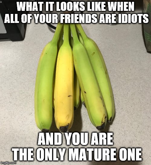 Banana humor | WHAT IT LOOKS LIKE WHEN ALL OF YOUR FRIENDS ARE IDIOTS; AND YOU ARE THE ONLY MATURE ONE | image tagged in meme,lol | made w/ Imgflip meme maker