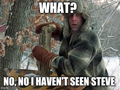 WHAT? NO, NO I HAVEN'T SEEN STEVE | image tagged in have i seen steve buscemi | made w/ Imgflip meme maker