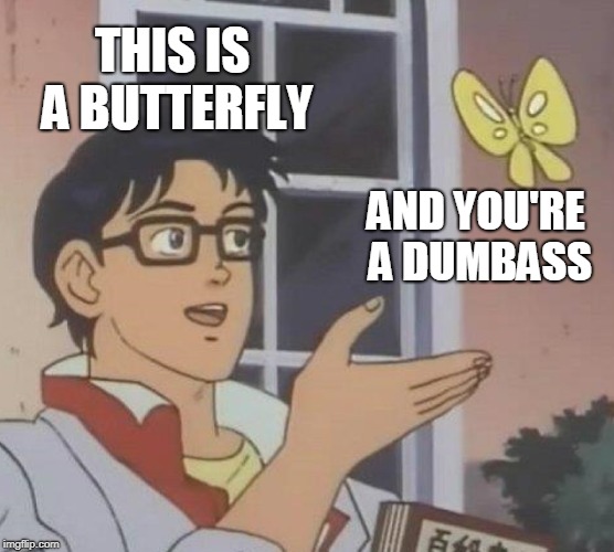 Is This A Pigeon Meme | THIS IS A BUTTERFLY; AND YOU'RE A DUMBASS | image tagged in memes,is this a pigeon | made w/ Imgflip meme maker
