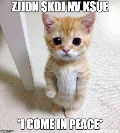 Cute Cat | ZJJDN SKDJ NV KSUE; *I COME IN PEACE* | image tagged in memes,cute cat | made w/ Imgflip meme maker