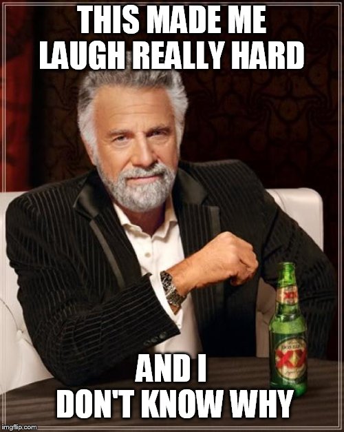 The Most Interesting Man In The World Meme | THIS MADE ME LAUGH REALLY HARD AND I DON'T KNOW WHY | image tagged in memes,the most interesting man in the world | made w/ Imgflip meme maker