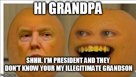 HI GRANDPA SHHH. I'M PRESIDENT AND THEY DON'T KNOW YOUR MY ILLEGITIMATE GRANDSON | made w/ Imgflip meme maker
