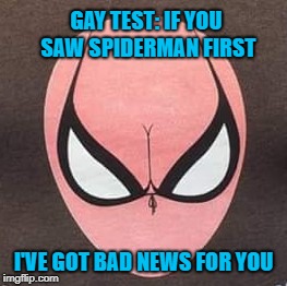 It's OK...you don't have to lie about it!!! | GAY TEST: IF YOU SAW SPIDERMAN FIRST; I'VE GOT BAD NEWS FOR YOU | image tagged in spiderman,memes,seeing what you want to see,funny,optical illusion,test | made w/ Imgflip meme maker
